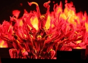 关于晋级下一阶段首场状态出色，塞尔维亚队观众沸腾！，Rookie重返赛场赢得满堂喝彩的信息