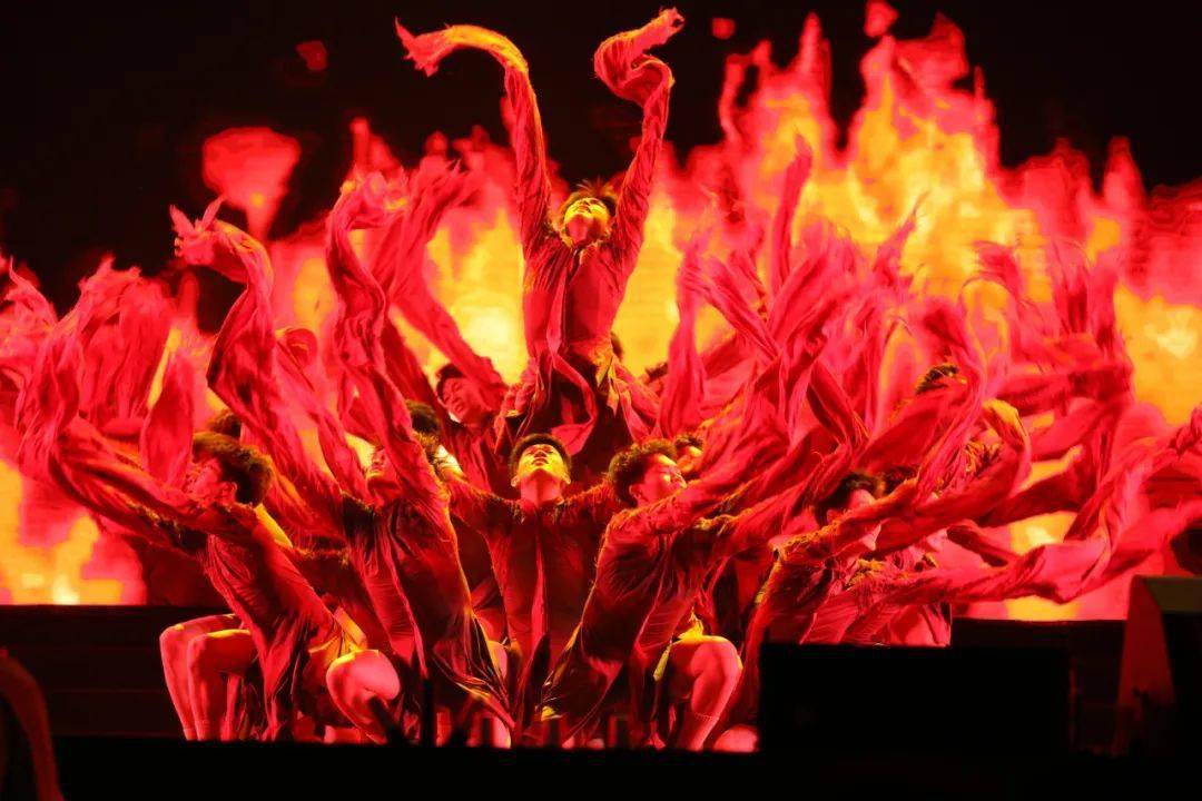 关于晋级下一阶段首场状态出色，塞尔维亚队观众沸腾！，Rookie重返赛场赢得满堂喝彩的信息